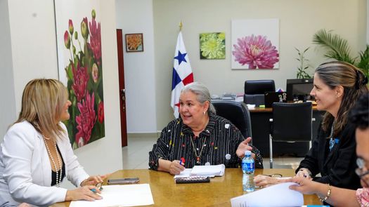 MIDES y SENNIAF coordinan acciones para fortalecer protección de la niñez. MIDES y SENNIAF coordinan acciones para fortalecer protección de la niñez.