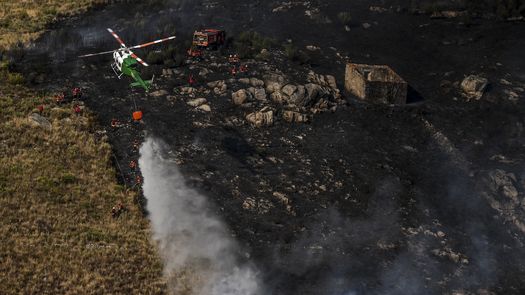 Varios focos de incendio se mantenían vivos este viernes en el territorio francés, incluidas zonas prealpinas.