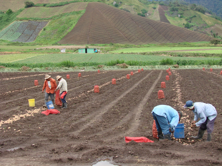 Ley de política Agroalimentaria