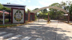 El Organismo Electoral Universitario señaló que se está en la etapa anterior a la entrega de proclamaciones de los candidatos ganadores.