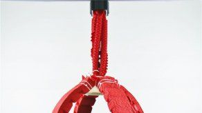 Músculos artificiales dan superpoderes a los robots