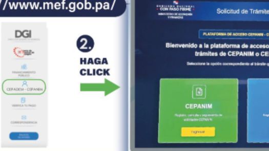 Plataforma del CEPANIM.&nbsp;