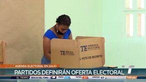 Partidos políticos continúan con sus procesos internos