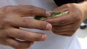 Amsterdam prohibirá marihuana en escuelas