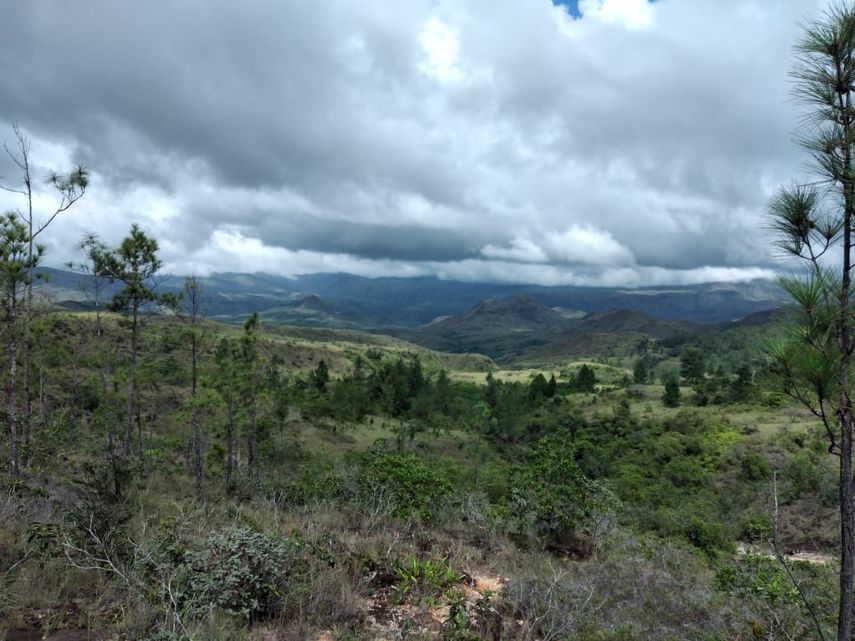 Las áreas protegidas se crearon para proteger los valores ecológicos que están en las mismas.