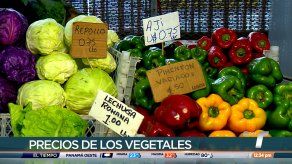 Algunos productos registran bajos precios en Merca Panamá