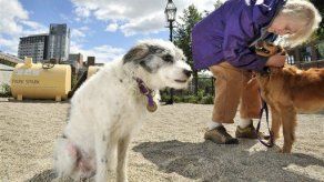 Peniche acoge la primera playa para perros de Portugal