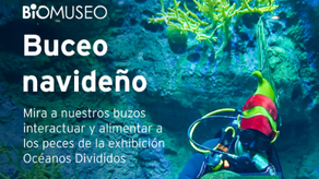 Biomuseo presenta Océanos Divididos&nbsp;