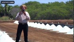 Del puente pa allá: zafra de sal