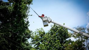 Naturgy Panamá se refirió a las afectaciones en el suministro eléctrico en varios hospitales del país.