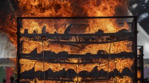 El funcionario decidió quemar los cuernos para crear conciencia sobre la necesidad de proteger a la especie y terminar con su caza furtiva.