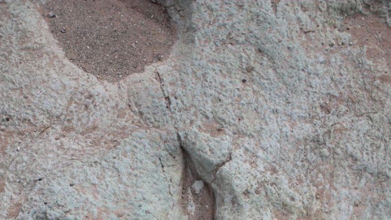 Utah exhibirá huellas de dinosaurio