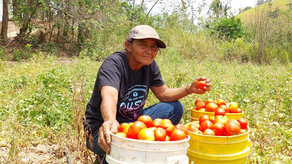 Panamá como see del Fondo Internacional de Desarrollo Agrícola