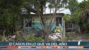 Se reportan 12 casos de femicidio en lo que va del 2022