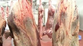OMS: consumo excesivo de carnes aumenta riesgo de cáncer