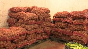 Ministro del MIDA se refiere a la producción de papa y cebolla Ministro del MIDA se refiere a la producción de papa y cebolla