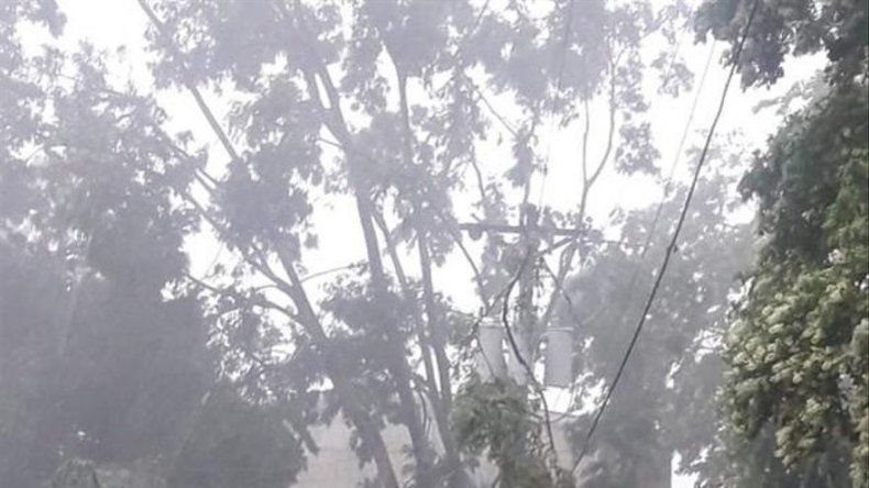 Inundaciones y caída de árboles afectan Panamá tras aviso de mal tiempo