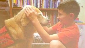 Perros para aprender a leer