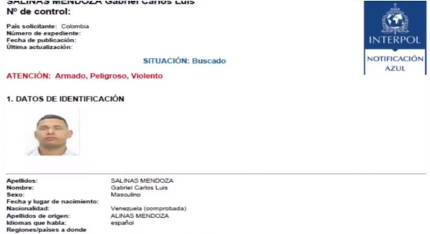 Gabriel Carlos Luis Salinas Mendoza.