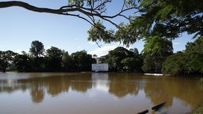 Gran cantidad de residentes, algunos con mascotas, pasaron horas atrapados en sus techos en días recientes debido a la crecida de un río en el poblado de Lismore, en el estado de Nueva Gales del Sur, en Australia.
