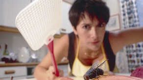 ¿Moscas en casa? Te explicamos porqué en Panamá hay muchas ¿Moscas en casa? Te explicamos porqué en Panamá hay muchas