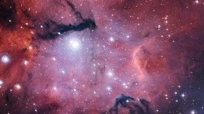 El ESO presenta una imagen de un nido estelar casi desconocido