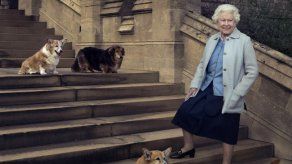 Uno de los dos nuevos cachorros de Isabel II ha muerto con tan solo cinco meses