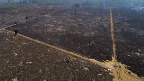 Desde que asumió el cargo, Jair Bolsonaro ha fomentado el desarrollo en la Amazonía y rechazado las quejas globales sobre su destrucción con el argumento de que son una trama para limitar la agricultura y ganadería brasileñas.&nbsp;
