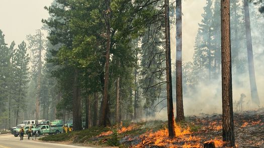 El área en la zona sur de Yosemite fue cerrada a los visitantes, pero el resto del parque nacional permanece abierto.