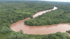 Científicos identifican en Panamá unas 16 nuevas especies de flora y fauna