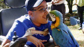 Niño canadiense cumple en Panamá su deseo conocer las guacamayas rojas
