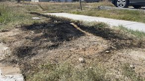 Texas: Hallan 3 cuerpos desmembrados en contenedor de basura