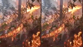 MiAmbiente informa de incendio en la Reserva Forestal La Yeguada. MiAmbiente informa de incendio en la Reserva Forestal La Yeguada.