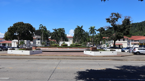 MEF anuncia cierre temporal de calles en Ancón por tala de árbol peligroso.