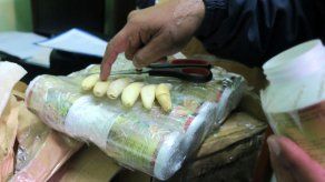 El tráfico ilegal de colmillos amenaza al mayor felino de Bolivia