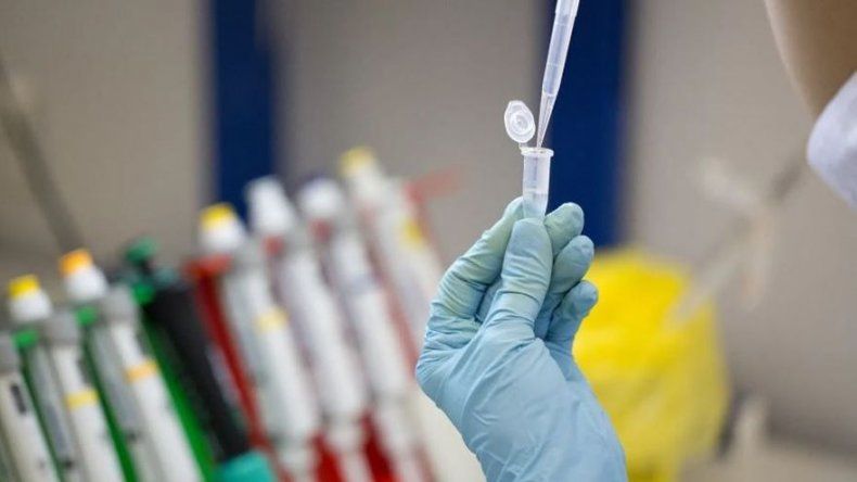 Putin: las vacunas rusas son seguras y esperamos aplicarlas a finales de año