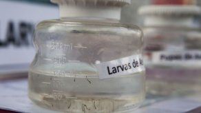 Nicaragua registra primeras dos pacientes contagiadas con el virus del Zika