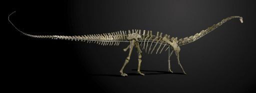 Un esqueleto gigante de dinosaurio saldrá a subasta en el Reino Unido