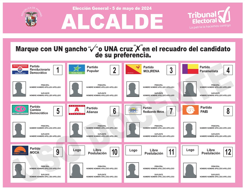 Tribunal Electoral, elecciones 2024 Colores de papeletas para ejercer