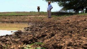 MIDA mantendrá apoyo a región de Azuero pese a lluvias MIDA mantendrá apoyo a región de Azuero pese a lluvias