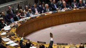 ONU rechaza declaración propuesta por Rusia con condena a ataques en Siria