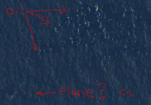 Courtney Love asegura haber encontrado avión desaparecido