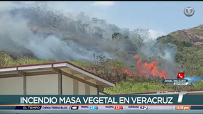 Incendio de masa vegetal cerca de internado en Veracruz.