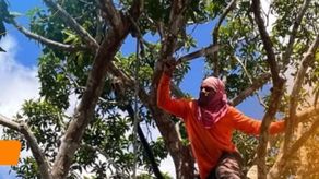 Alcaldía de Arraiján establece nuevo requisitos