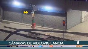 CON recibió más de 15 mil llamadas durante Semana Santa