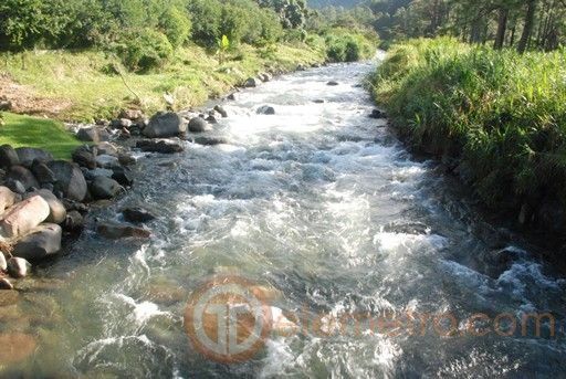 Telemetro.com en Boquete