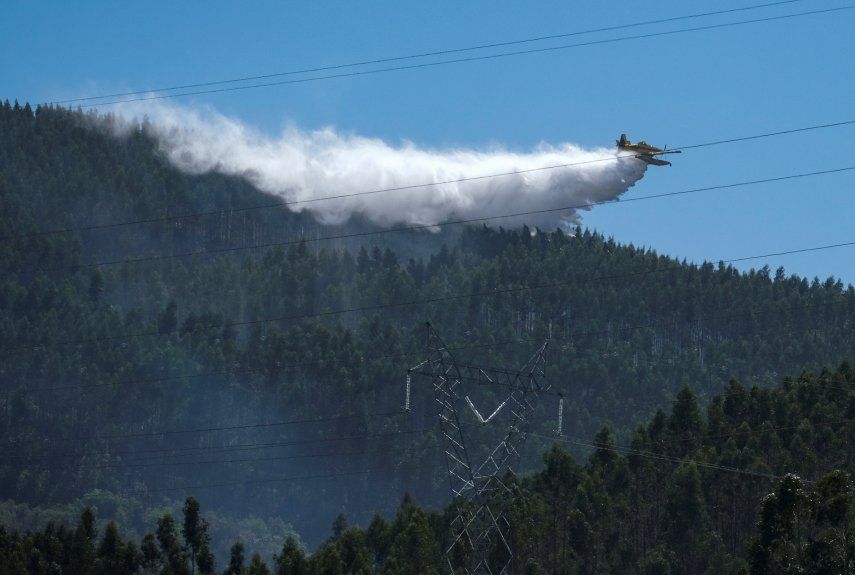 Las primeras estimaciones apuntan a que el fuego arrasó 1.100 hectáreas y alcanzó un perímetro de 20 kilómetros de longitud.