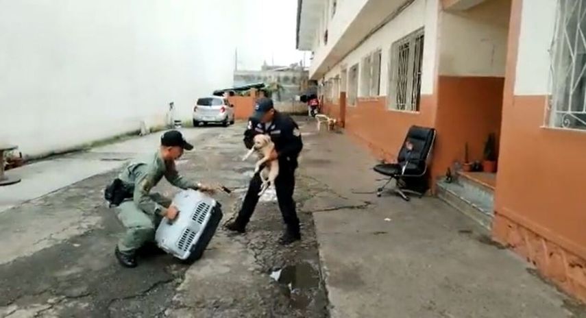 Según el reporte de la PN