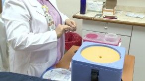 ¿Qué pruebas se realizan para el diagnóstico del virus influenza?