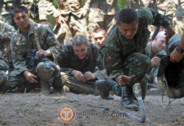 Entrenamiento de supervivencia del ejército de EEUU